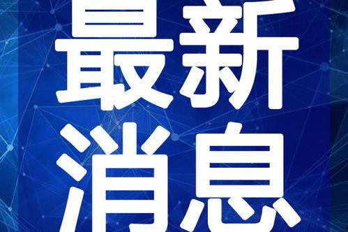 东航推特爆料视频最新,最新航班安全细节曝光